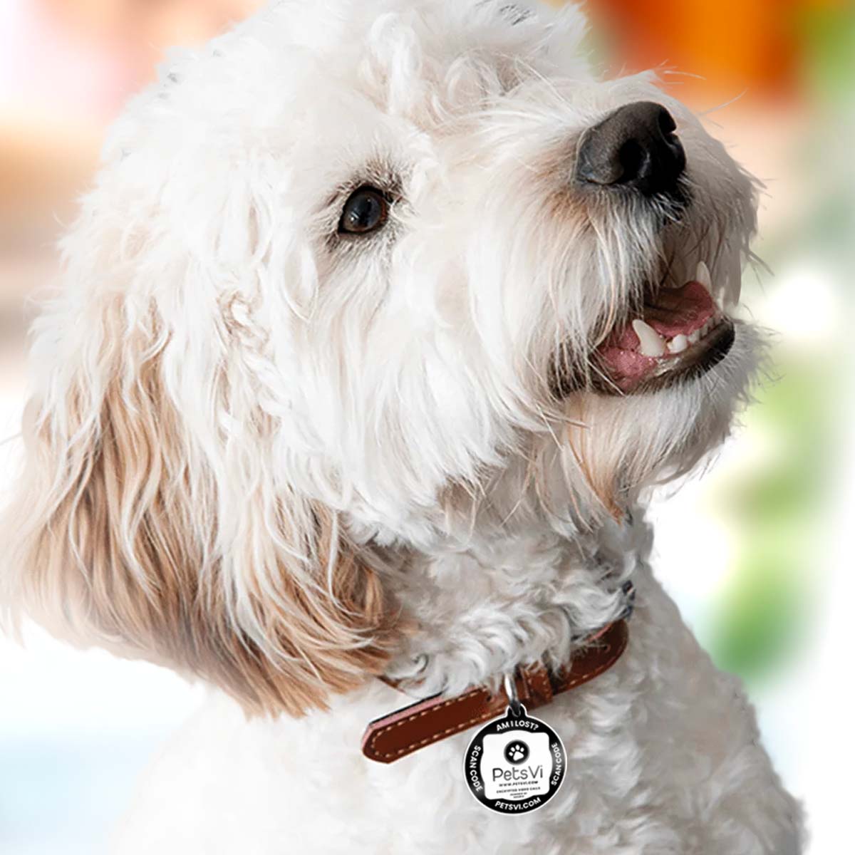 PetsVi - Metal Dog Tag with Smart QR Video